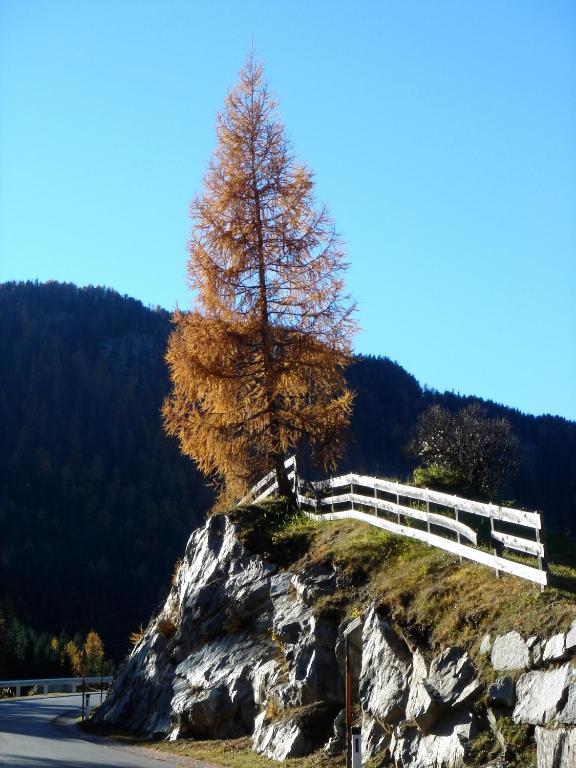 Alpengasthof Zollwirt Sankt Jakob in Defereggen Buitenkant foto
