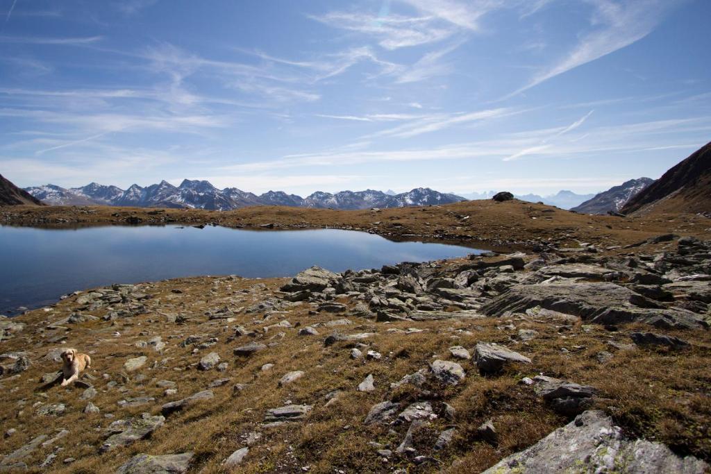 Alpengasthof Zollwirt Sankt Jakob in Defereggen Buitenkant foto
